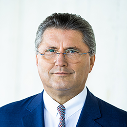 Ing. Karl-Heinz Strauss, MBA, FRICS